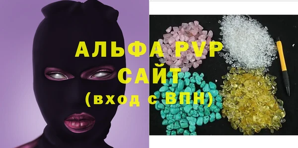 стаф Белокуриха