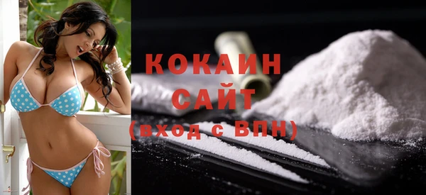 стаф Белокуриха