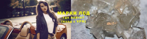 стаф Белокуриха
